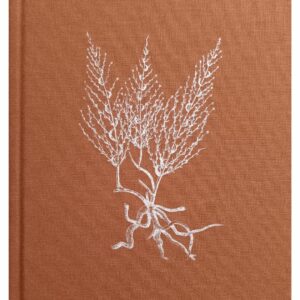 BRIGANTINAS. Nicola Lo Calzo